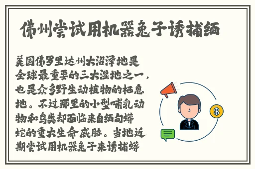 三㚫港版普通话版将欣